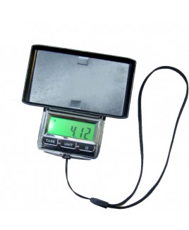 ตาชั่งขนาดเล็กสำหรับพก 100g/0.01g Digital Mini Pocket Scale